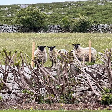 An Chill Bheag At The Lakes Holiday home Blessington