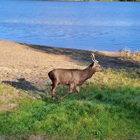 An Chill Bheag At The Lakes Holiday home *